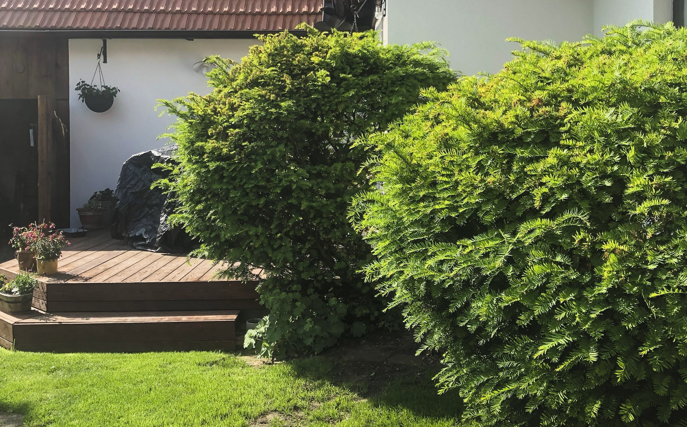 Před proměnou č. 1
