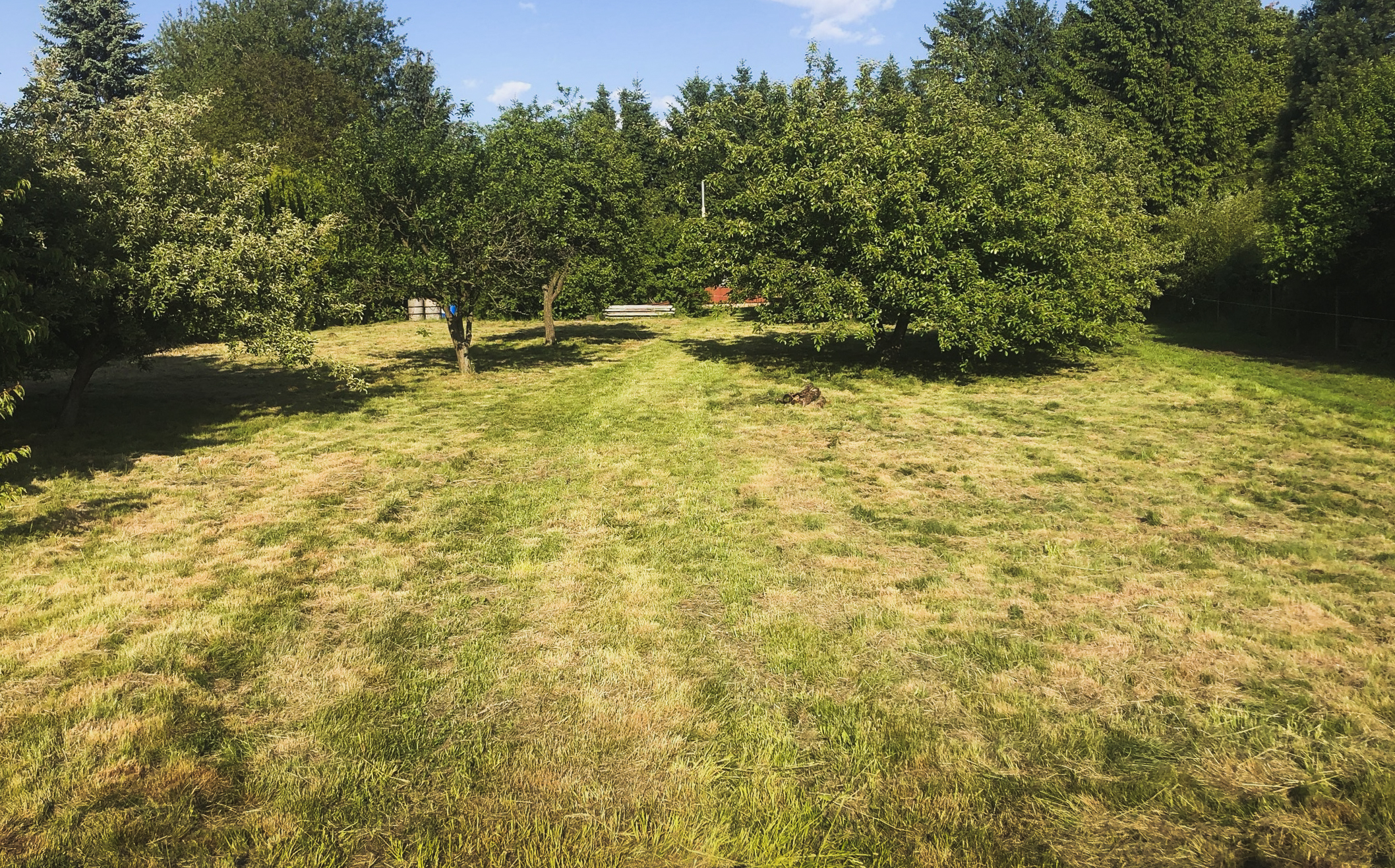 Po proměně č. 6